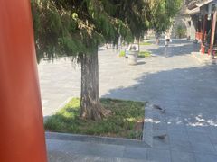 -万寿八仙宫