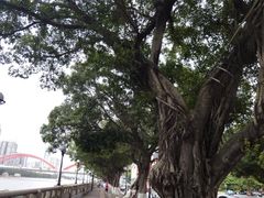 -珠江夜游天字码头