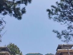 -木兰云雾山