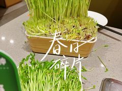 -海底捞火锅(河东万达广场店)