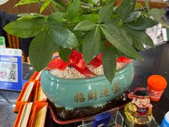 -金记猪肚鸡(琅西店)