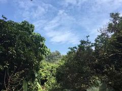 -红花山公园
