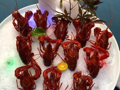 -荷风细雨·中国茶宴(碧云店)