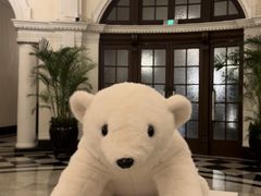 -LONG BAR 廊吧(外滩华尔道夫酒店)