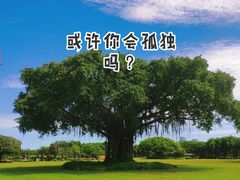 -万绿园