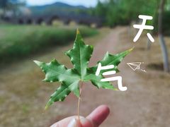 -乌素图国家森林公园