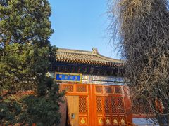-北京艺术博物馆(万寿寺)