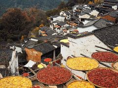 -婺源风景区