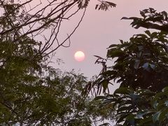 -梧桐山风景名胜区