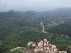 -金卉庄园