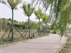 -天津东丽湖风景区