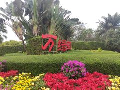 -万绿园