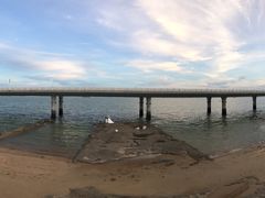 -演武大桥观景平台