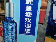 -鲤鱼塘农家山庄