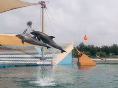 -秦皇岛乐岛海洋王国