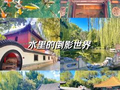 -趵突泉景区