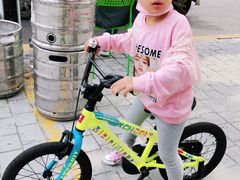 -道路口单车爱瓦士dahon大行