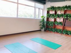 -兰瑜伽·普拉提