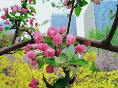 -海棠花溪(元大都城垣遗址公园)