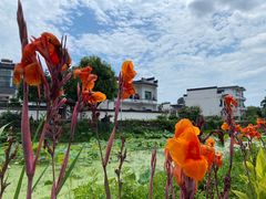 -西溪南古村落景区