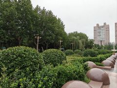 -西清公园