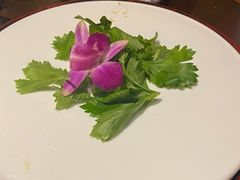 -醉美东江·三文鱼·烧鸡公