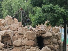 -西安秦岭野生动物园