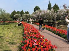 -石家庄市植物园