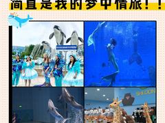 -石家庄极地海洋世界