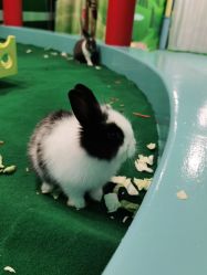 -酷嗒动物文化乐园(cutezoo西溪乐天城店)