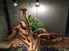 -羊汤研究所(茶苑海口路店)