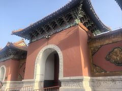 -北陵公园