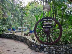 -卷心菜和避孕套餐厅(Pattaya)