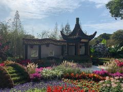 -苏州上方山国家森林公园
