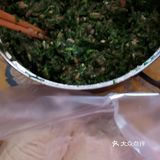 美味荠菜鲜肉饺子