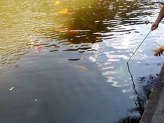 -巴厘岛风情自助餐厅(牡丹广场店)