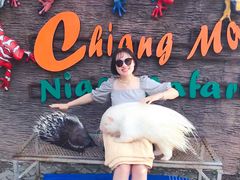 -清迈夜间动物园