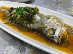 -老绍兴养和饭店(向阳不夜城店)