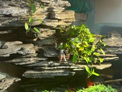 -山水茶艺馆·点心粤菜·30年老字号