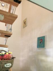 -净妍美肌专业净毛嫩肤连锁机构