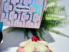 -哈根达斯(美罗城店)