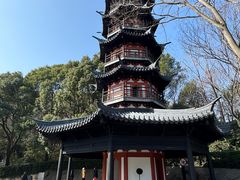 -上海佘山国家森林公园西佘山园