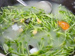 上汤豆苗-水磨农庄