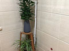 -北京观赏动物医院·24小时大型综合·猫专科·异宠专科
