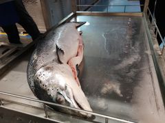 -麦德龙(郑东店)