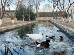 -春风习习