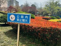-丁家河公园