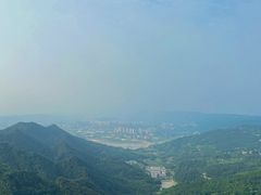 -大金鹰园