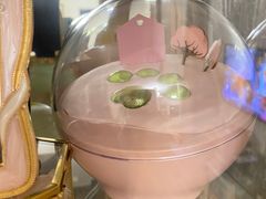 -彩虹桥宠物火化殡葬善终服务(金乐大厦店)