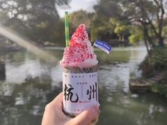 -西溪国家湿地公园